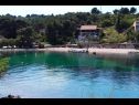 Апартаменты Primo - sea view: A1(2+1), A2(4), A3(4), A4(3+1) Залив Банье (Рогач) - Остров Шолта  - Хорватия - пляж