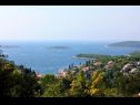 Дома дял отдыха Sunce - relaxing & quiet: H(2+2) Маслиница - Остров Шолта  - Хорватия - детали