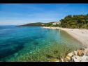 Апартаменты Gana - 50 M from the sea : A1(5) Маслиница - Остров Шолта  - пляж