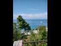 Апартаменты Zlatko Slobodan - by sea: A1(4), SA2(3) Стоморска - Остров Шолта  - вид на море (дом и окружение)
