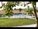Дома дял отдыха Villa Solis - luxury with pool: H(6) Дицмo - Ривьера Сплит  - Хорватия - двор