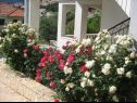 Апартаменты Davorka - 50m from the sea A1(2+2), A2(2+2) Трогир - Ривьера Трогир  - цветы
