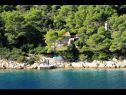 Дома дял отдыха Dob - 5m from the sea: H(4) Залив Сточница (Вис) - Остров Вис  - Хорватия - дом