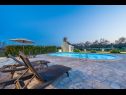 Дома дял отдыха Oasis Village Villa - heated pool : H(6+2) Привлака - Задар Ривьера  - Хорватия - бассейн